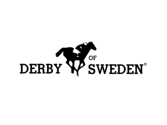 Derby of Sweden